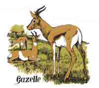 GAZELLE