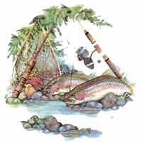 Rainbow Trout Bits