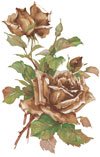 Brown Roses Mural