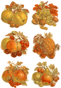 Apples, pineapples, Cherries, Grapes, Walnuts, Gooseberries, Pears