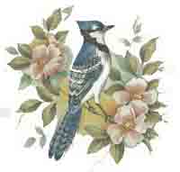 Blue Jay Bit Sheet of 65