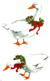 Christmas Ducks