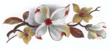 Dogwood Flower - 6 PER SHEET