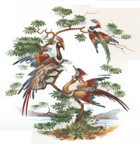 Exotic Birds Scene