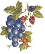 GRAPES, BERRIES