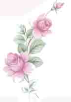 Melody - Pink Roses