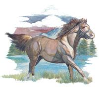 Running Horse