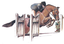 Horse Jumping with Jockey