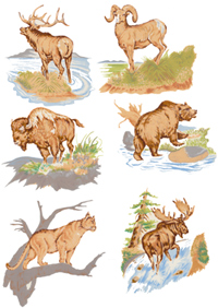 ELK, MOUNTAIN GOAT, BUFFALO, MOOSE,BEAR,MOUNTAIN LION