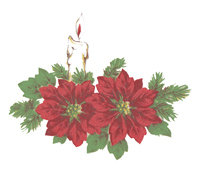 Poinsettia with Candle