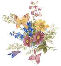Yellow, pink, blue flowers with butterfly