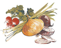 Onions, Radishes