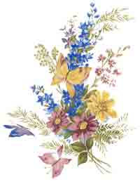 Yellow, pink, blue flowers with butterfly