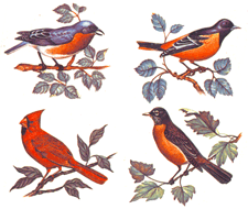 Song Birds Set 4 piece