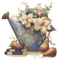 Magnolia and Watering Can