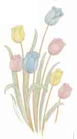 Tulips - Yellow, Blue, Pink