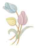 Tulips - Yellow, Blue, Pink