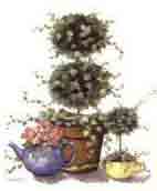 Topiary with Bird and Blue Teapot