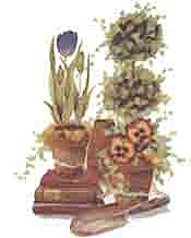 Books, Tulips, Pansies, Topiary