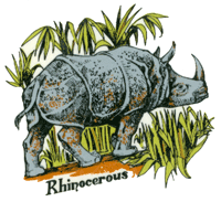 Rhinocerous